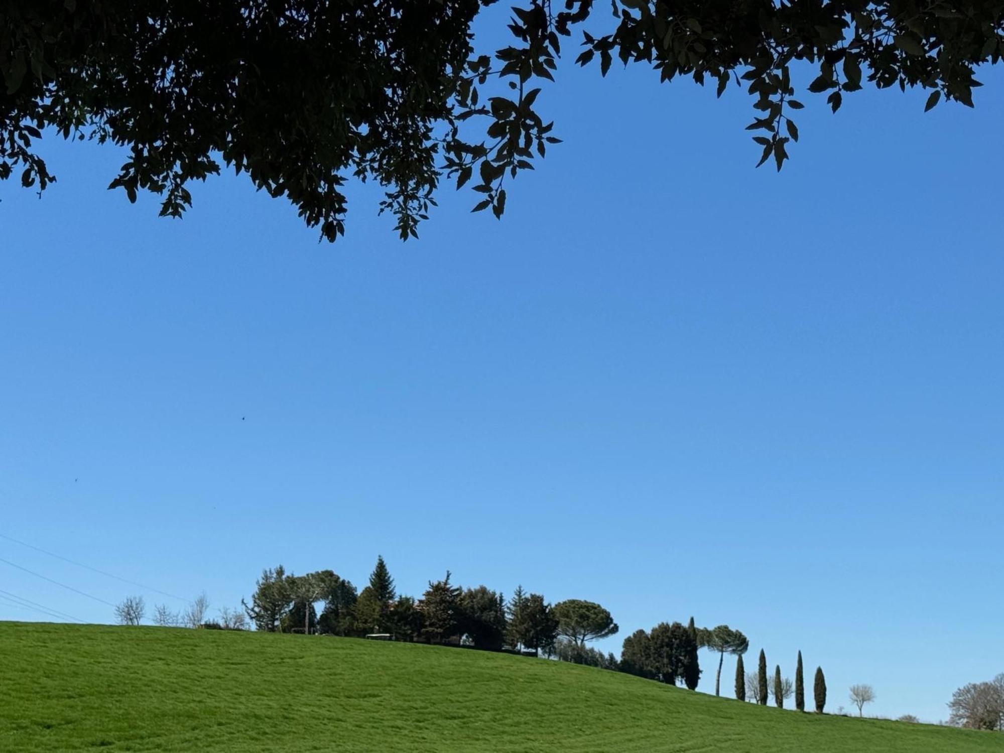 Orvieto Country House Castiglione In Teverina Dış mekan fotoğraf