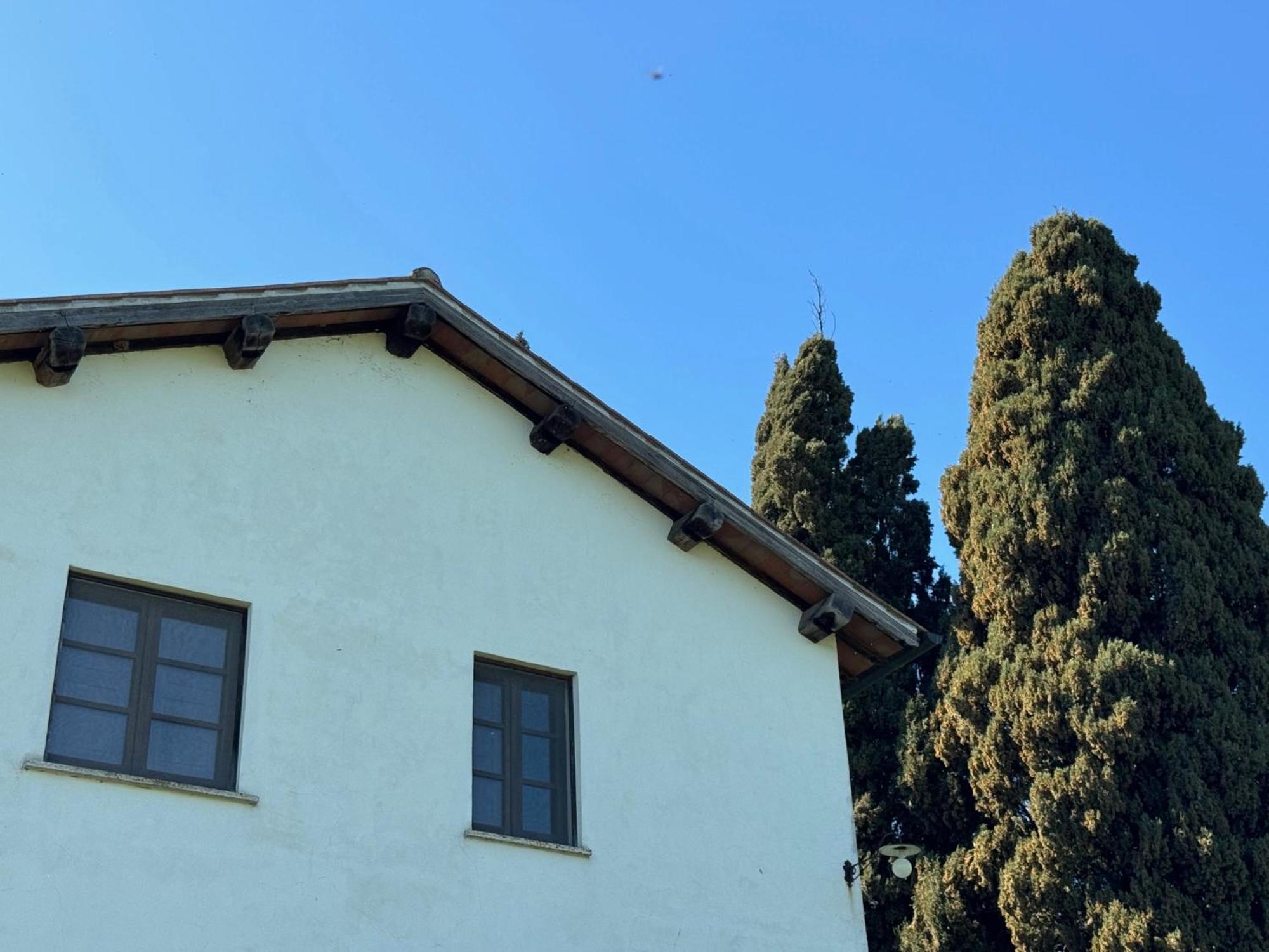 Orvieto Country House Castiglione In Teverina Dış mekan fotoğraf