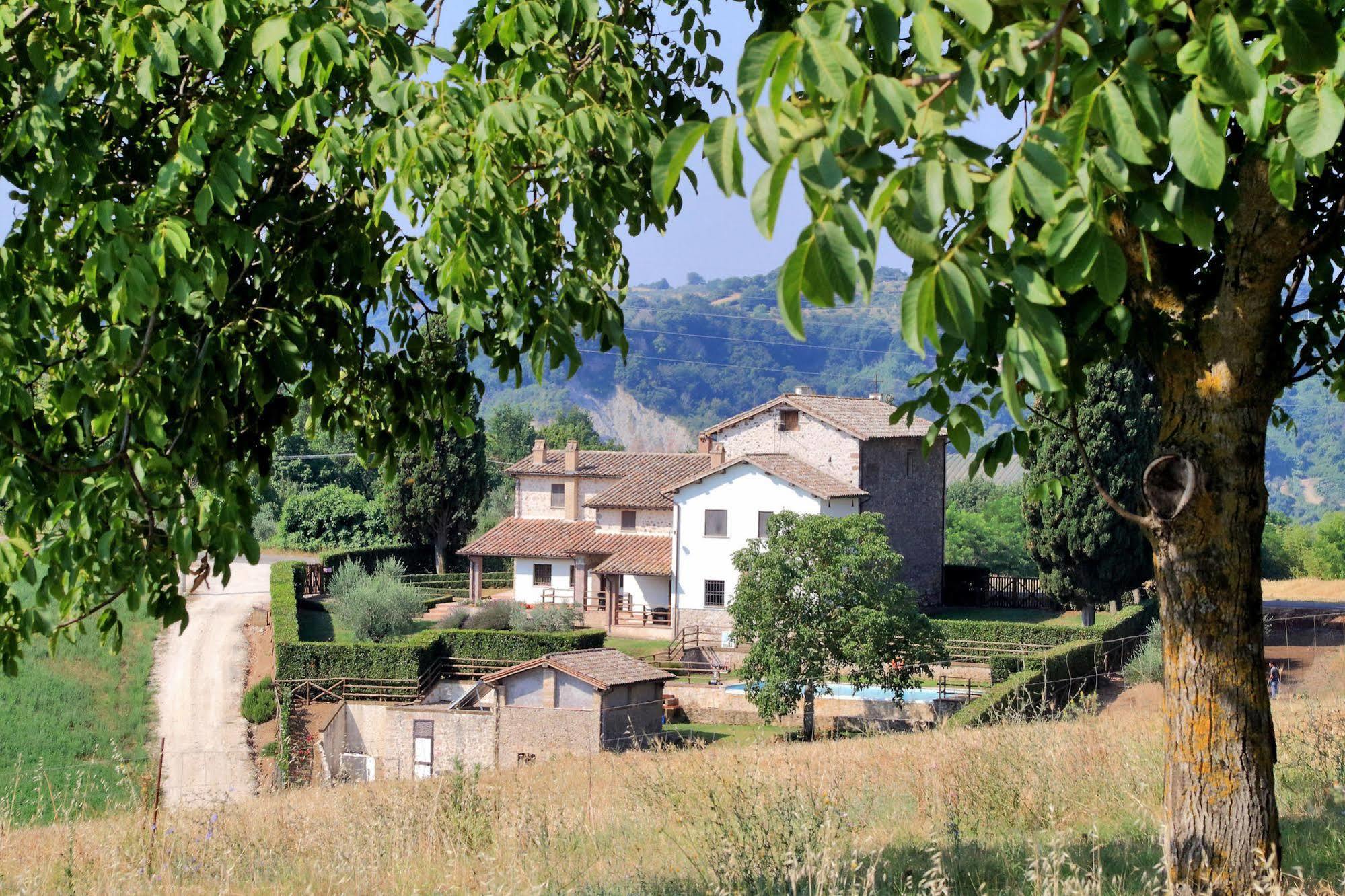 Orvieto Country House Castiglione In Teverina Dış mekan fotoğraf