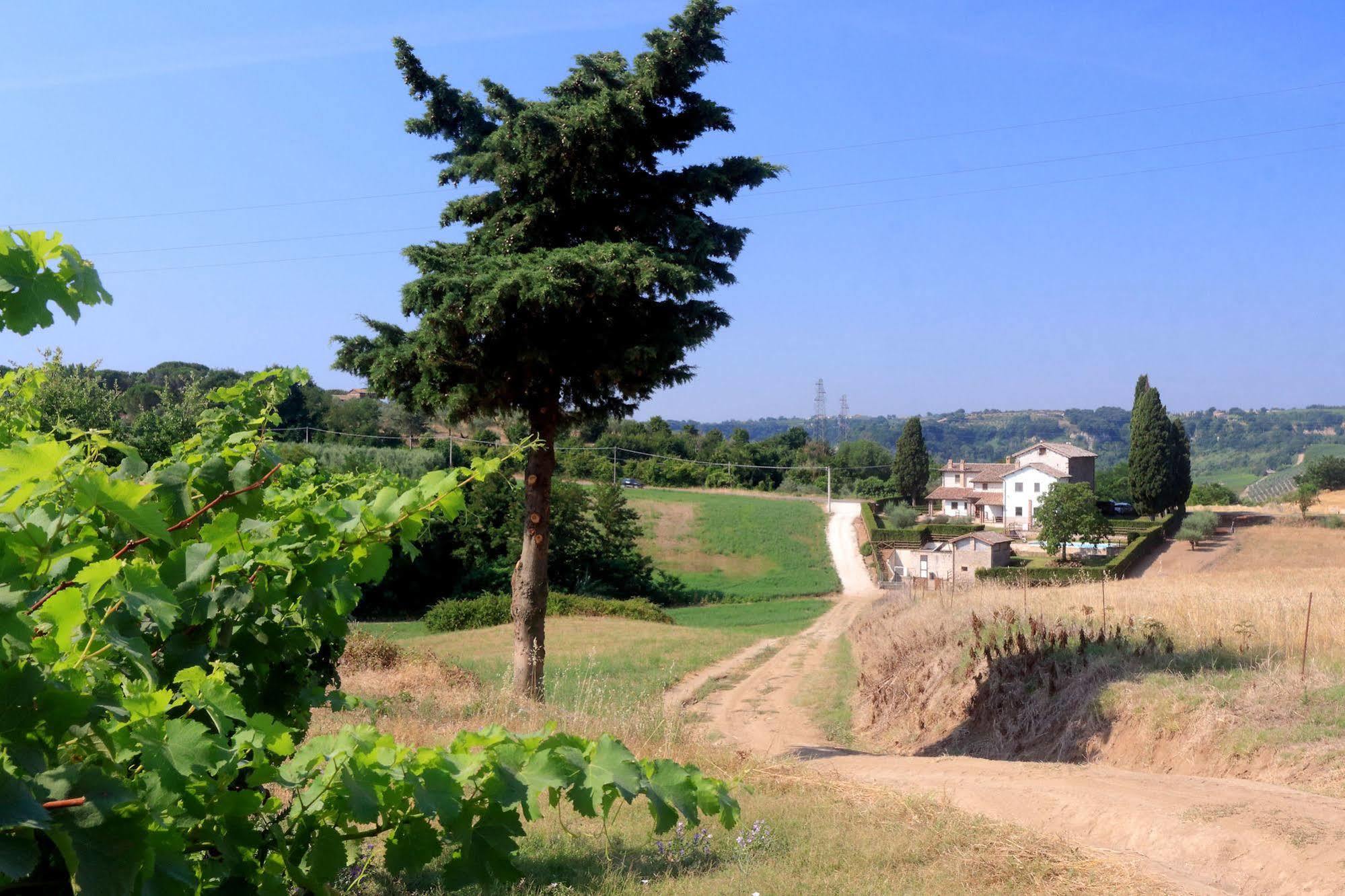Orvieto Country House Castiglione In Teverina Dış mekan fotoğraf